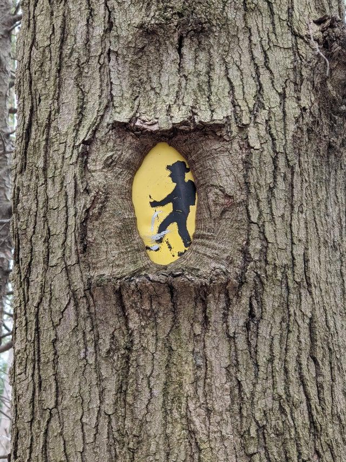 crazy nature