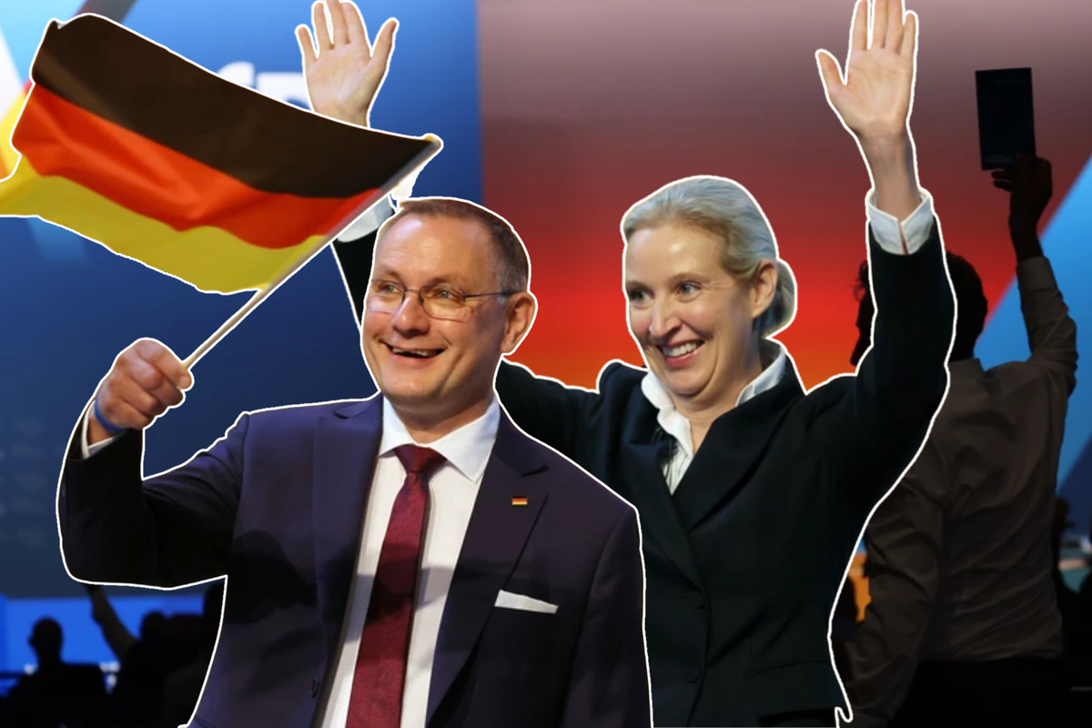 Parteitag AfD