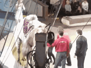 Animiertes GIF