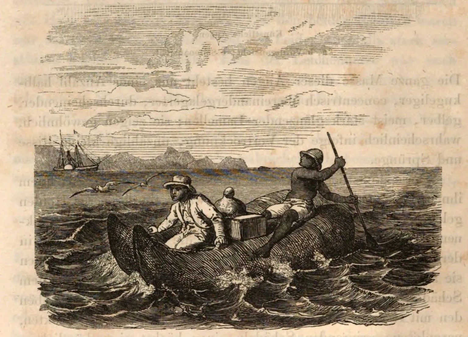 Tschudi mit seinen Objekten. Abbildung im Buch «Reise durch Südamerika», 1869.