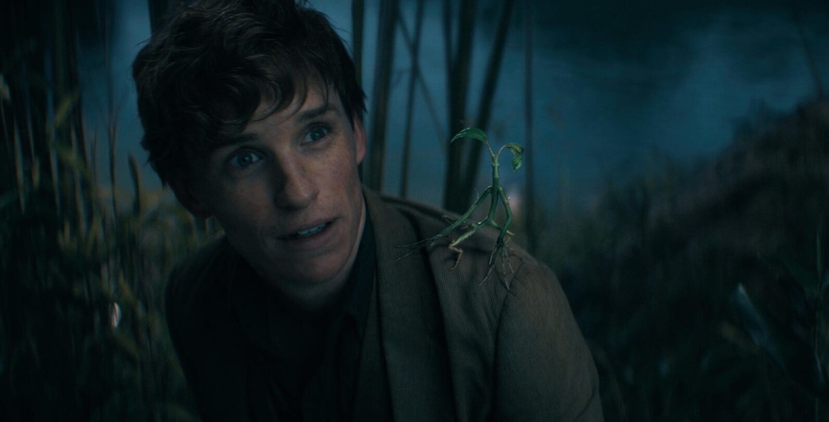 Phantastische Tierwesen: Dumbledores Geheimnisse mit Eddie Redmayne