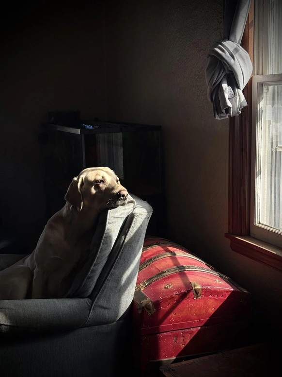 AccidentalRenaissance
This is Earl

https://www.reddit.com/media?url=https%3A%2F%2Fpreview.redd.it%2Fthis-is-earl-v0-33lhz4ka4vpg1.jpeg%3Fwidth%3D1080%26crop%3Dsmart%26auto%3Dwebp%26s%3D3f5abe1123624c ...