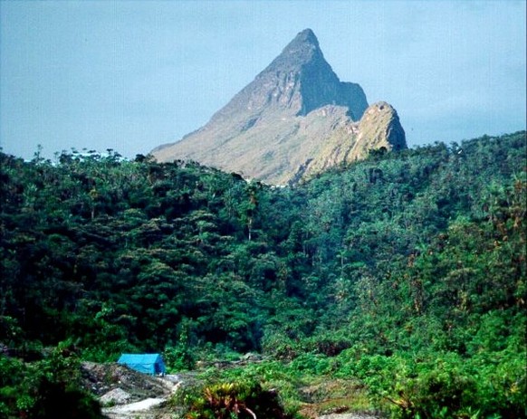 Pico da Neblina, höchster Berg Brasilien CC BY 3.0