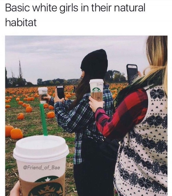 White girl memes: It&#039;s Pumpkin Spice Latte hell out there.
