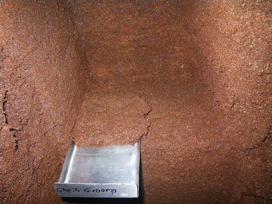 Fledermausguano in der Home-Away-from-Home-Höhle auf Jamaika.