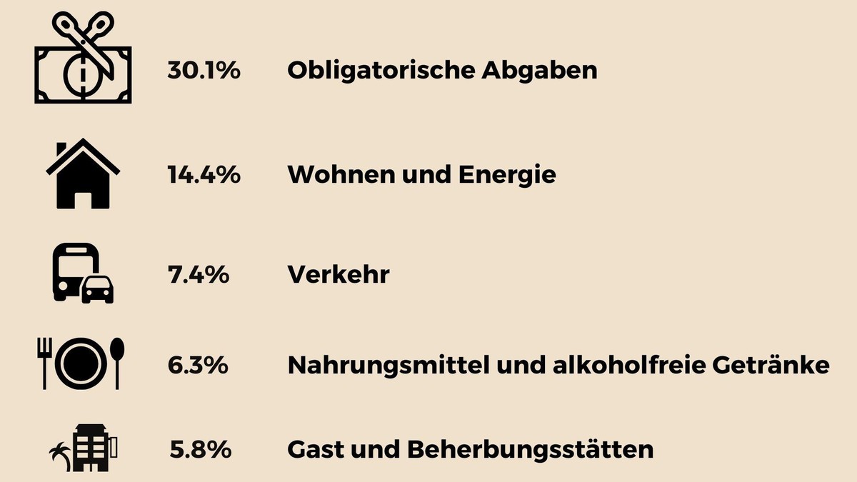 Haushaltsausgaben