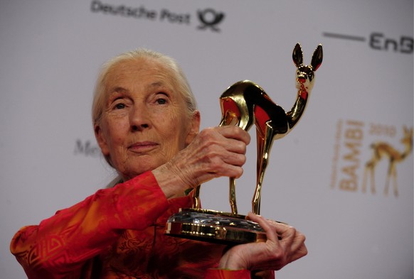 Goodall bei der Bambi-Verleihung 2010.