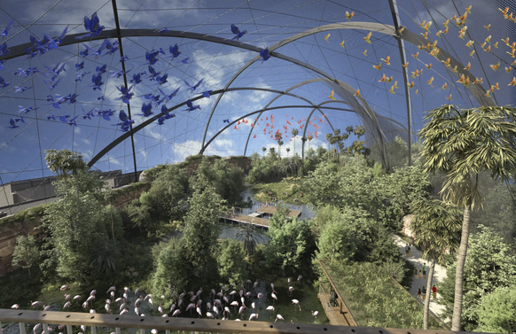 Pantanal Voliere Zoo Zürich