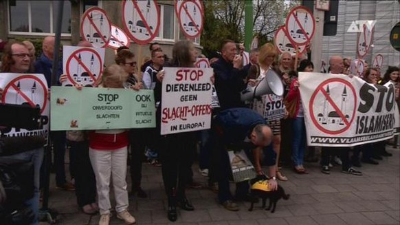Anhänger von «Vlaams Belang» bei einer Demonstration gegen die «Islamisierung».