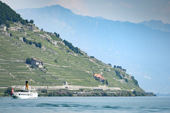 Konsens am Lac&nbsp;Léman: Von links bis rechts wurde für das Steuerprivileg gestimmt.