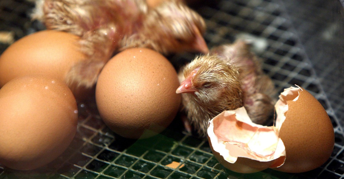 Kein-K-kent-ten-mehr-ist-jetzt-alles-gut-