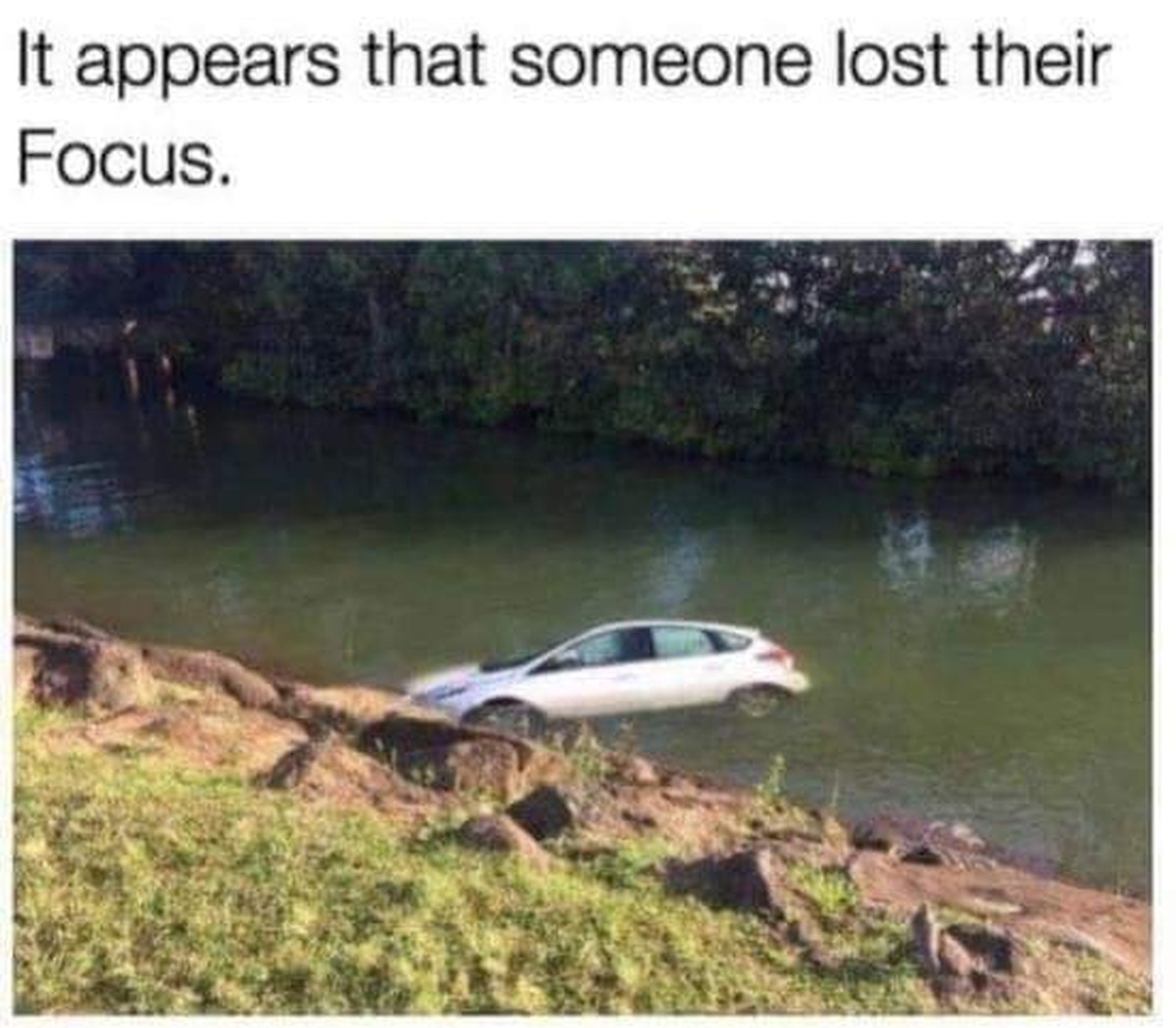 Waldi befiehlt: Schau den Picdump!
Oh Focus of the lake, what is your wisdom? 

"Rosen sind Rot
Veilchen sind Blau
Ein Picdump ohne Otten
Das ist doch nicht schlau!"