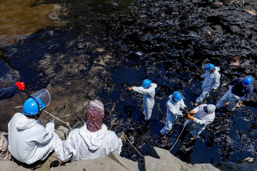 epa09695574 A handout photo made available by the Municipality of Ventanilla showing the cleaning work of the oil spill spilled on 15 January into the Pacific Ocean from the Peruvian refinery of La Pa ...