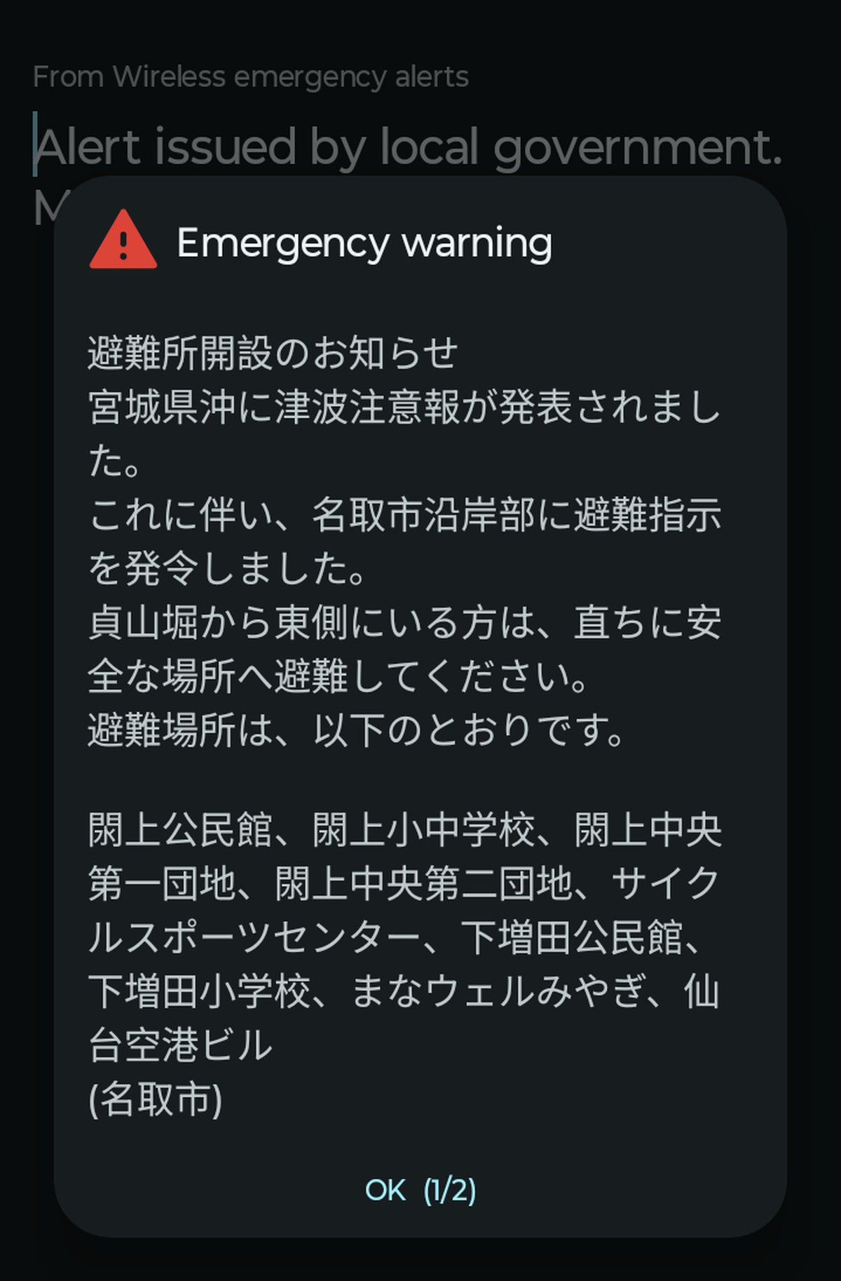 Ausser «Emergency warning» verstand Pius Ott zunächst nichts von der Tsunami-Warnung.