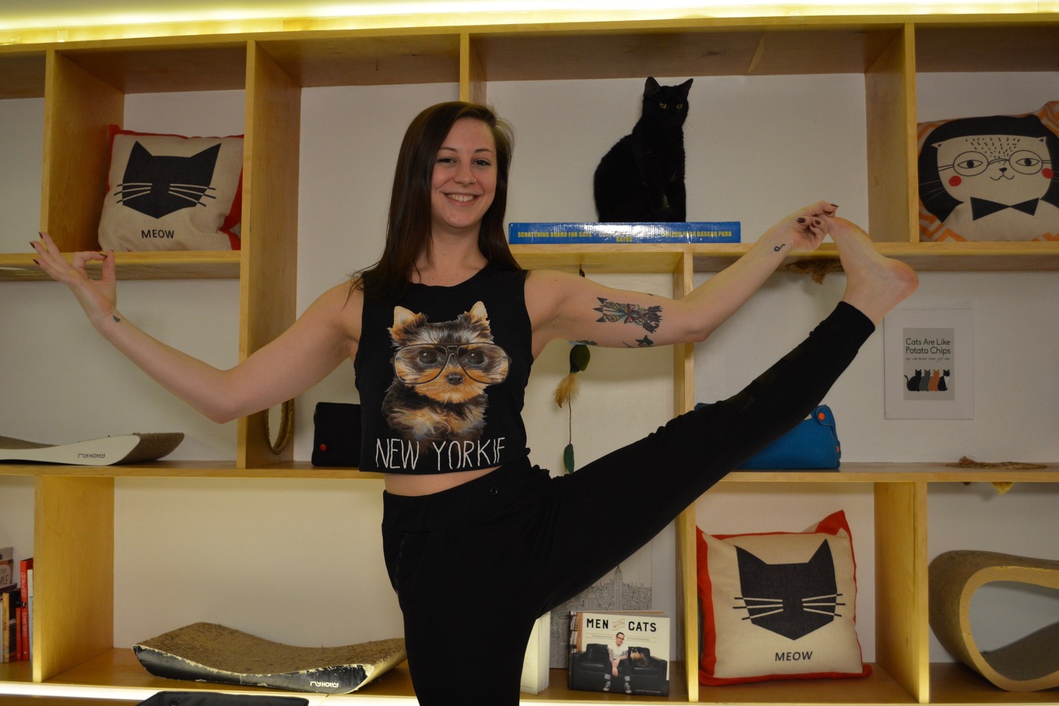 Katzen-Yoga, Yoga, cats, Katzen, Pussy, New York