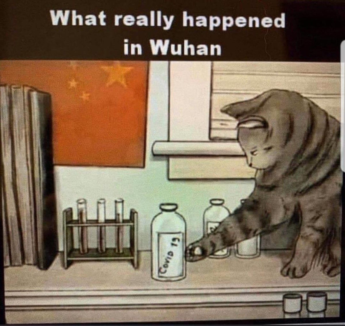 Keine Zeit fГјr intellente Titel: PICDUMP! рџЏ„вЂЌв™ЂпёЏ
BREAKING NEWS:
ich hab herausgefunden was WIRKLICH in Wuhan geschehen ist!