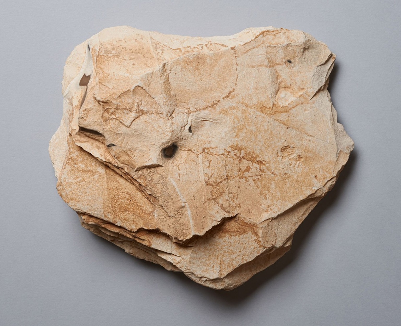Sundial from the Valley of the Kings (back).