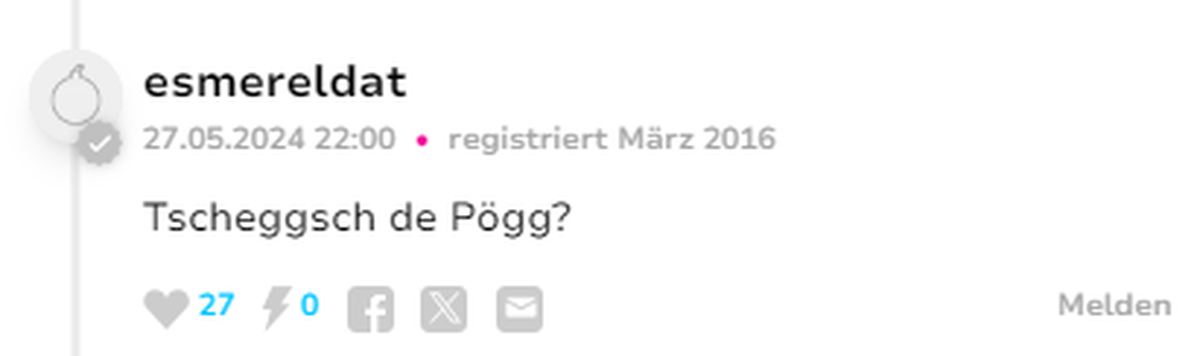 Jungedjargon watson Userinput