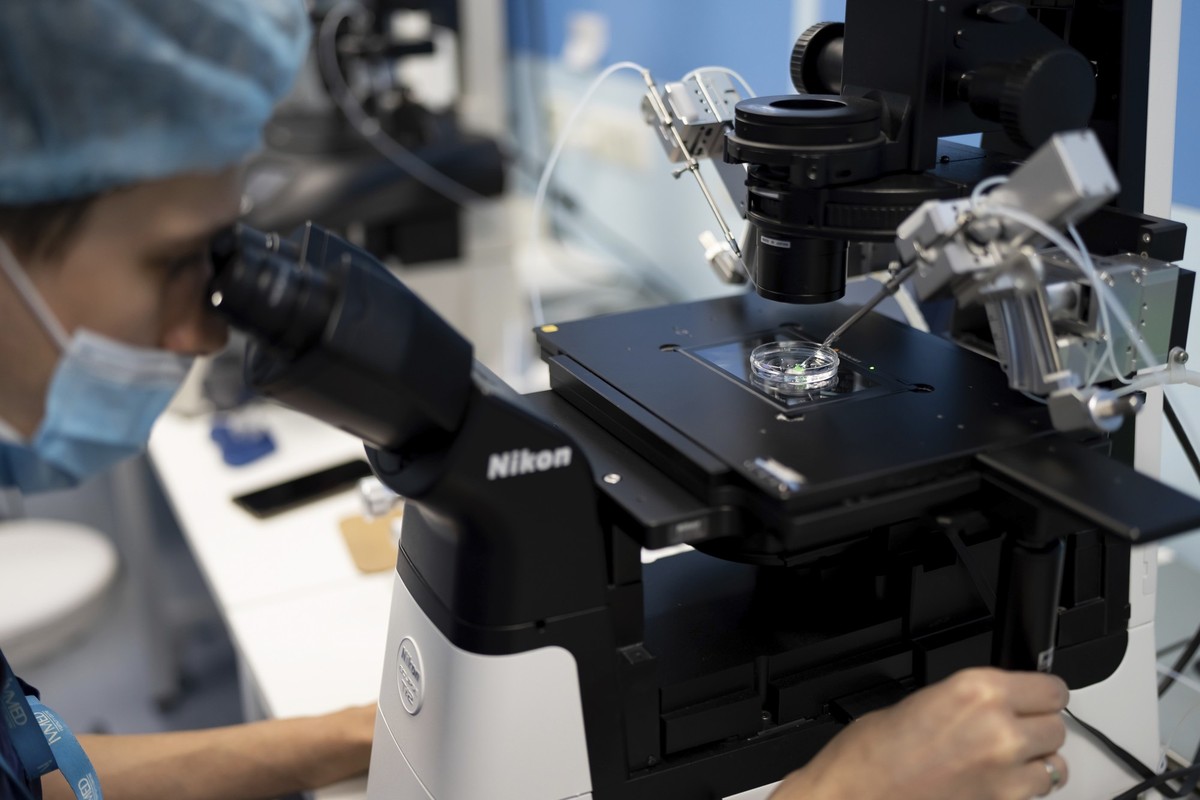A doctor conducts the procedure of intracytoplasmic sperm injection (ICSI) at the laboratory of IVMED's fertility clinic in Kyiv, Ukraine, Tuesday, Jan. 31, 2023. Some Ukrainian soldiers are turn ...