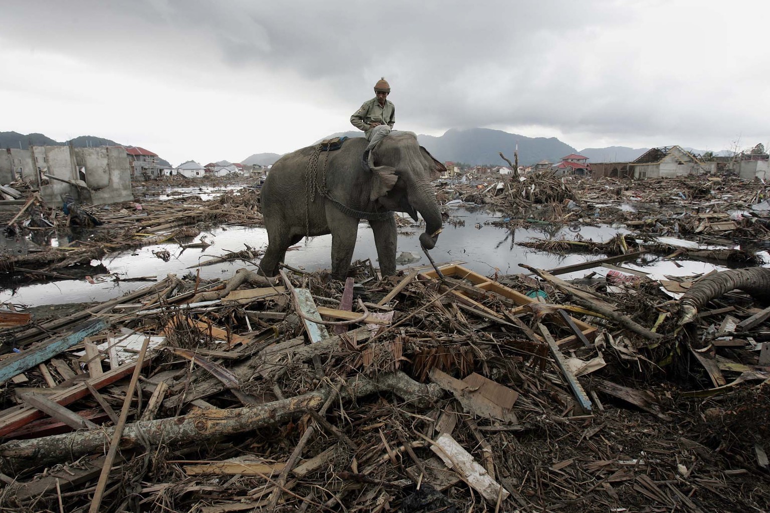 FILE - In this Jan. 10, 2005 file photo, an elephant which belongs to forest ministry removes debris in Banda Aceh, Indonesia. Friday marks the 10th anniversary of one of the deadliest natural disaste ...