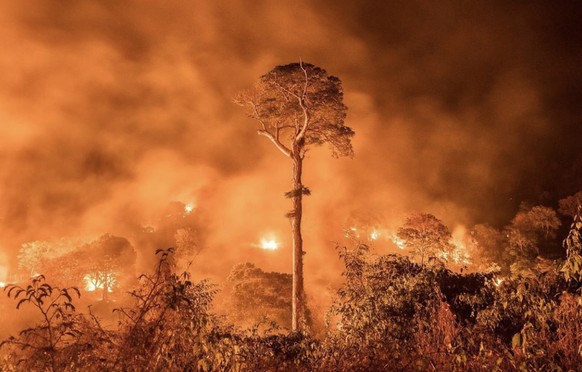 Verheerende Waldbrände im Amazonas – Bolsonaro schickt Armee zur Brandbekämpfung
ohne Worte...