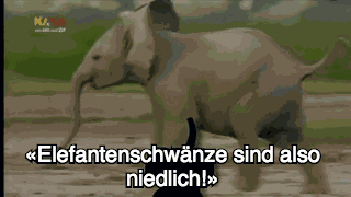Animiertes GIF