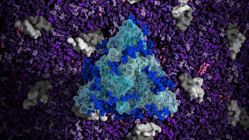 Top view of a simulated spike protein.