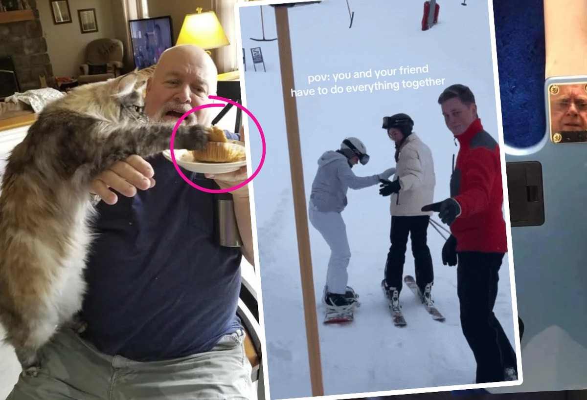 Die lustigsten Bilder und Gifs der Woche sind da!