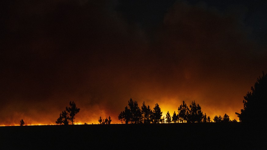 A fire consumes trees near Santo Tome, Corrientes province, Argentina, Friday, Feb. 18, 2022. Fires continue to ravage the Corrientes province that has burnt over half-a-million hectares. (AP Photo/Ro ...