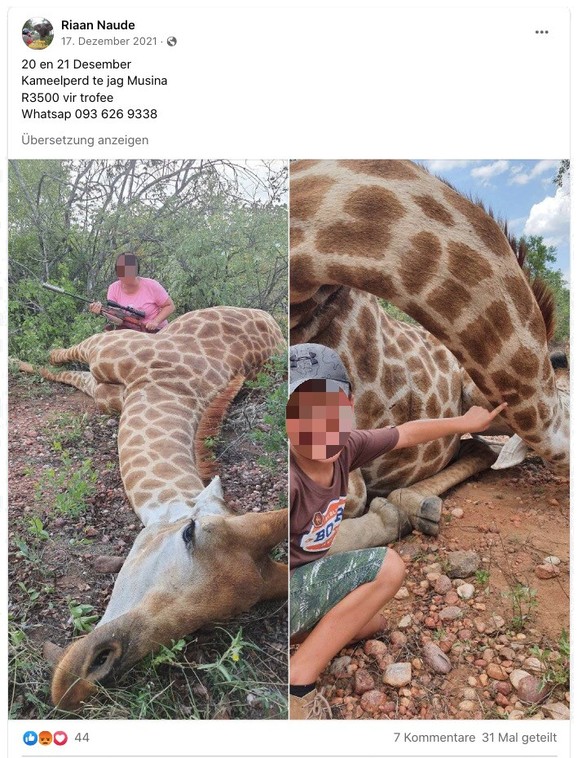 Kinder vor toten Giraffen: So präsentierte Naude die Trophäen seiner Gäste auf Facebook.