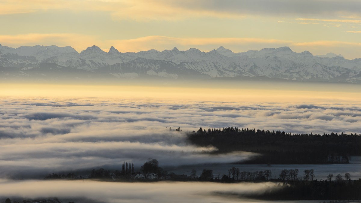 NEBEL rückwärts gelesen? LEBEN! Eine Liebeserklärung