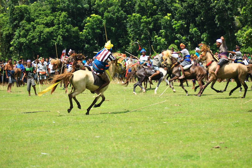 Sumba, Bild: Shutterstock