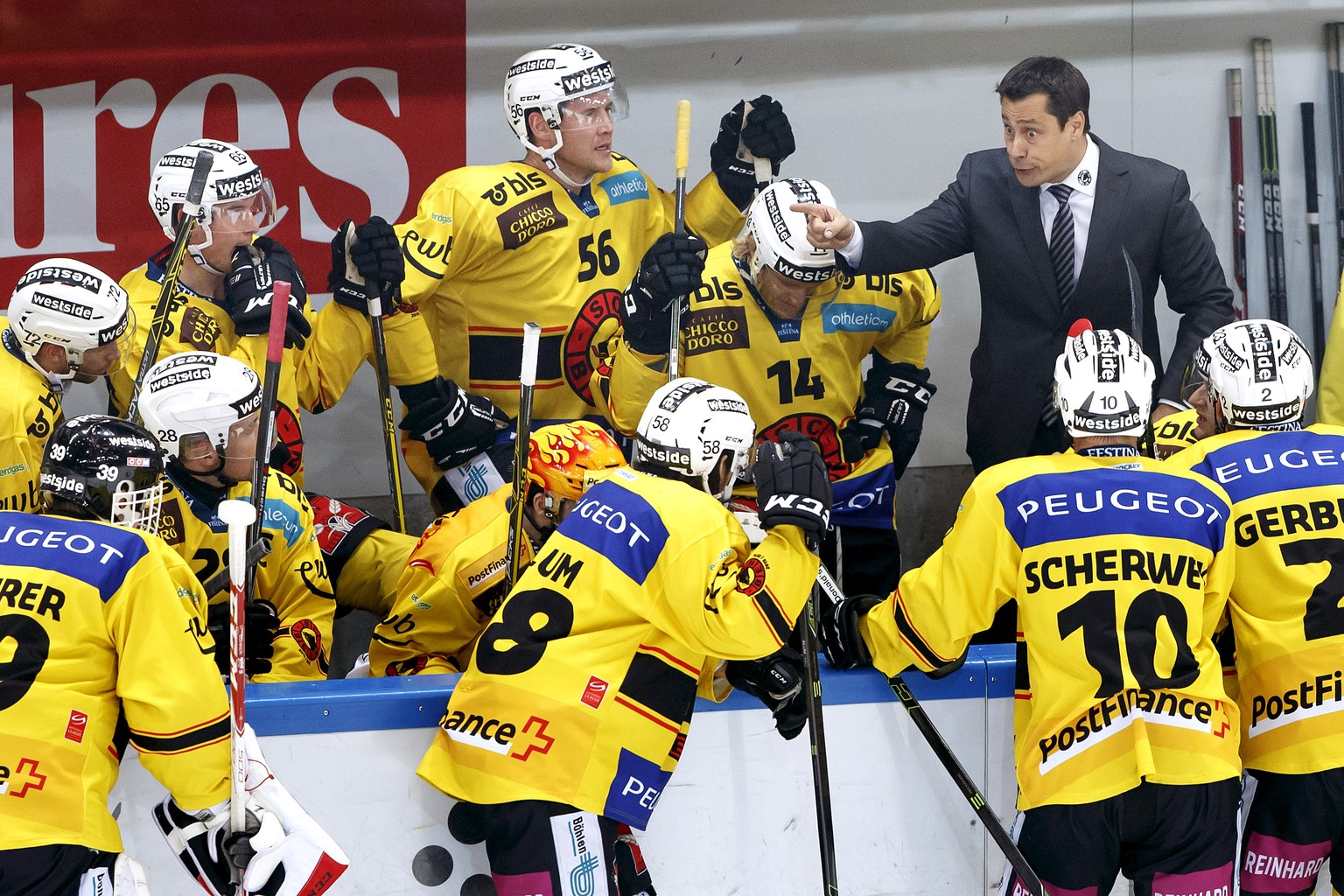 Guy Boucher voll engagiert – trotzdem stagniert der SC Bern unter seiner Leitung.