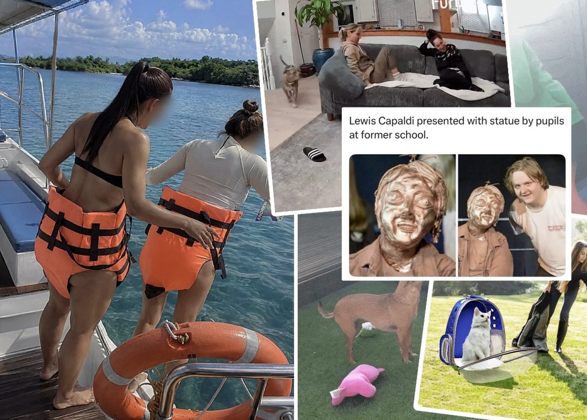 Die lustigsten Bilder und Gifs der Woche sind da!