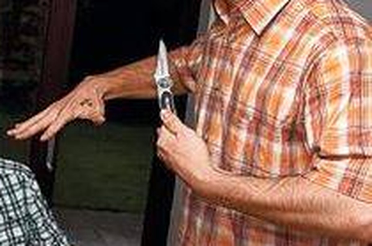 Bild