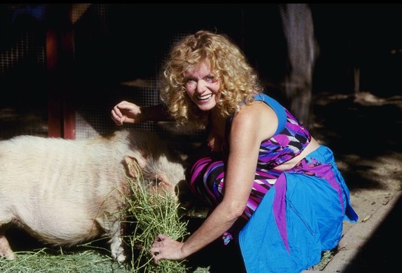 Hollywood, CA, USA; SHARON FARRELL and Miss Piggy afterquake are shown in an undated photo. Mandatory PUBLICATIONxINxGERxSUIxAUTxONLY - ZUMAm96_ 20051227_aaa_h84_050 Copyright: xKathyxHutchinsx

Hol ...