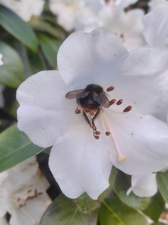 cute news tier hummel

https://www.reddit.com/r/beebutts/comments/1s0sxt0/does_my_bum_look_big_in_this/