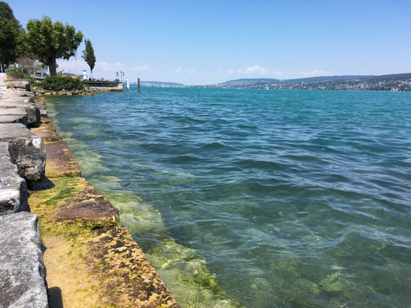 Wasserknappheit Pegel Zürichsee Säntisersee