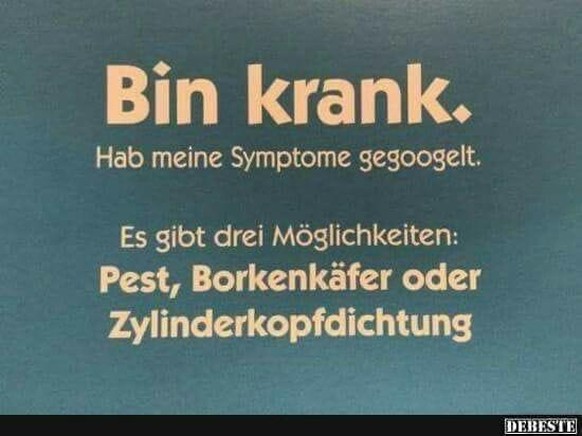 PICDUMP 423 тАУ heute nicht mit Harold, sondern ... ЁЯеБ ... Haryoung. \nHach Google ЁЯШН