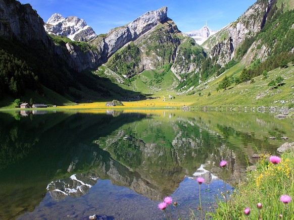 Seealpsee
https://de.wikipedia.org/wiki/Seealpsee_(Appenzeller_Alpen)