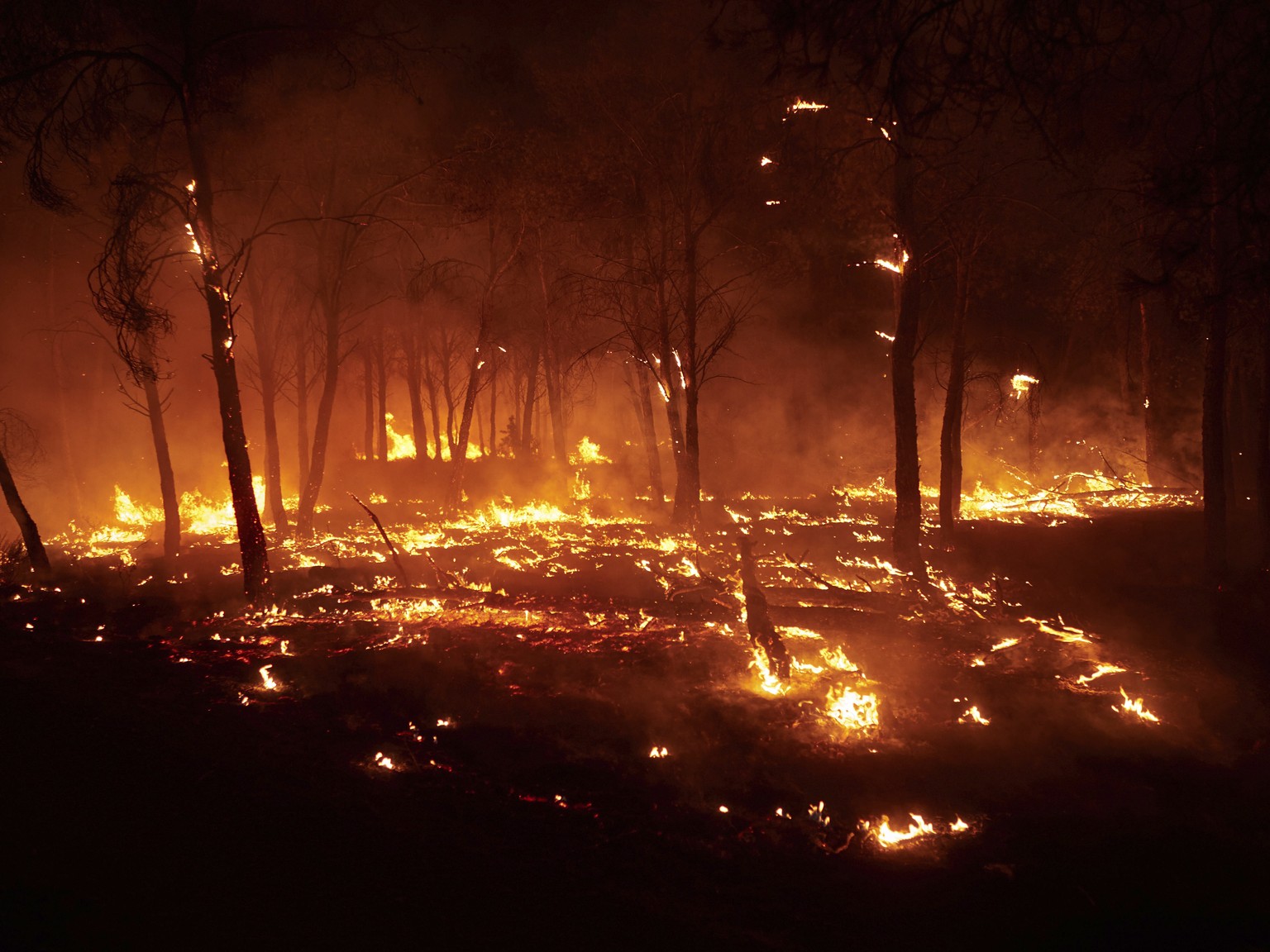 Burning trees are pictured during a wildfire in Carcastillo, northern Spain, Sunday, Aug. 10, 2025. (Eduardo Sanz/Europa Press via AP)
Europe Fires