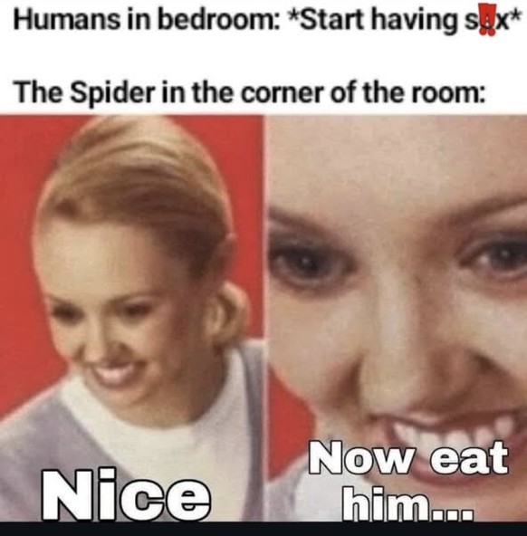 Picdump 206 вЂ“ wer Memes liebt, ist hier genau richtig\nрџ•·пёЏрџ¤Ј