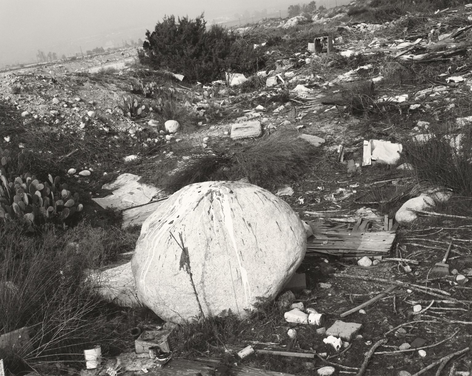 Schwemmgut bei Santa Ana, San Bernardino County, Kalifornien, 1982.