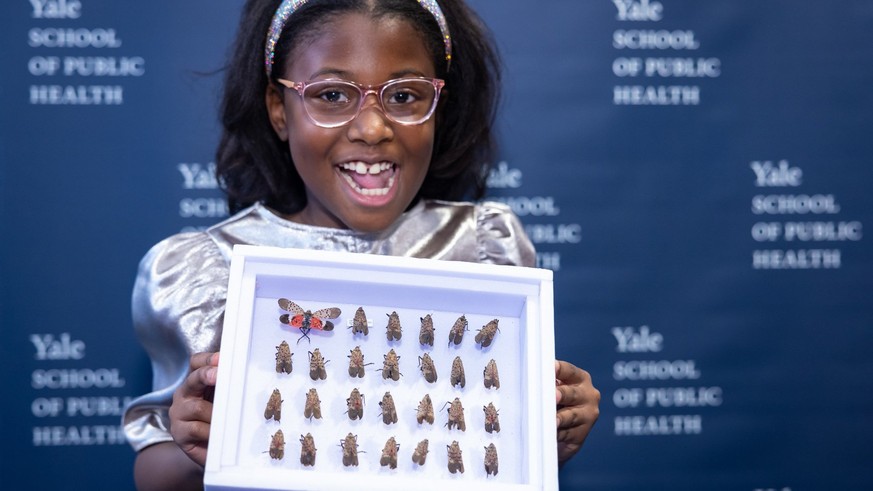 Girl is reported to the police for killing insects – then honored by elite university Beaten and booed: Tourist climbs sacred Mayan temple