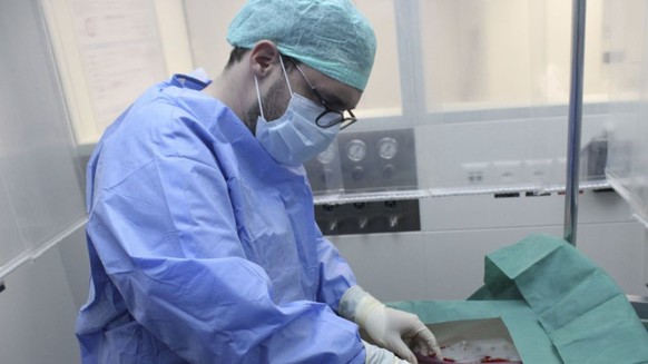 Ein Chirurg schliesst eine Leber an die neue Perfusionsmaschine an, die sie eine Woche am Leben erhalten kann.