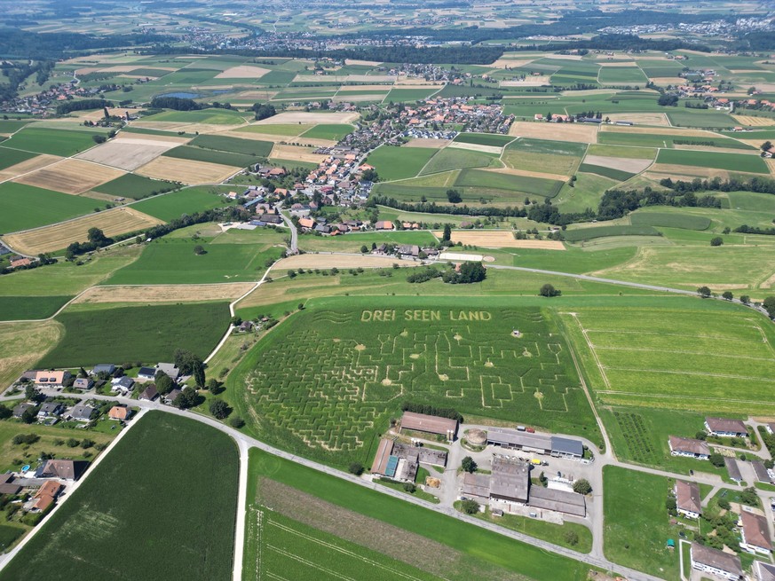 Frienisberg Mais-Labyrinth Labyrinth Schweiz Rauszeit