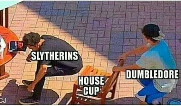 Harry Potter - The best memes about the film series