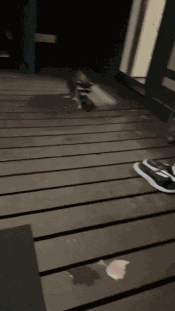 Animiertes GIF