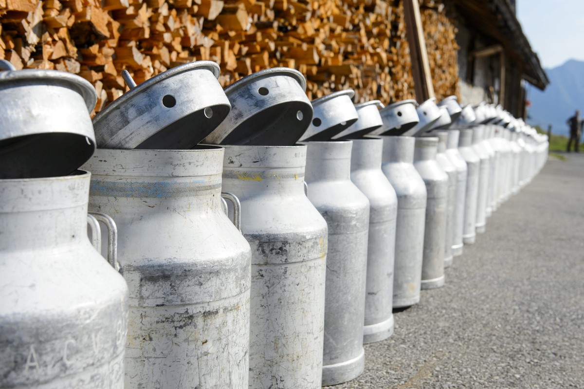 epa04874263 A string of milk cans of the exhibition "Bidons sans frontieres" ("milk cans without boarders") by Swiss-French artist Gerard Benoit a La Guillaume pictured at the alps ...