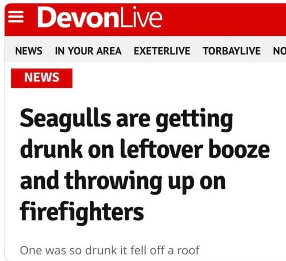 Perlen des Lokaljournalismus - UK Edition 
https://x.com/craplocalnews